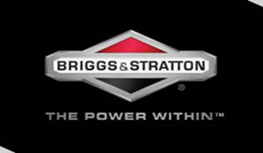 Briggs and Stratton